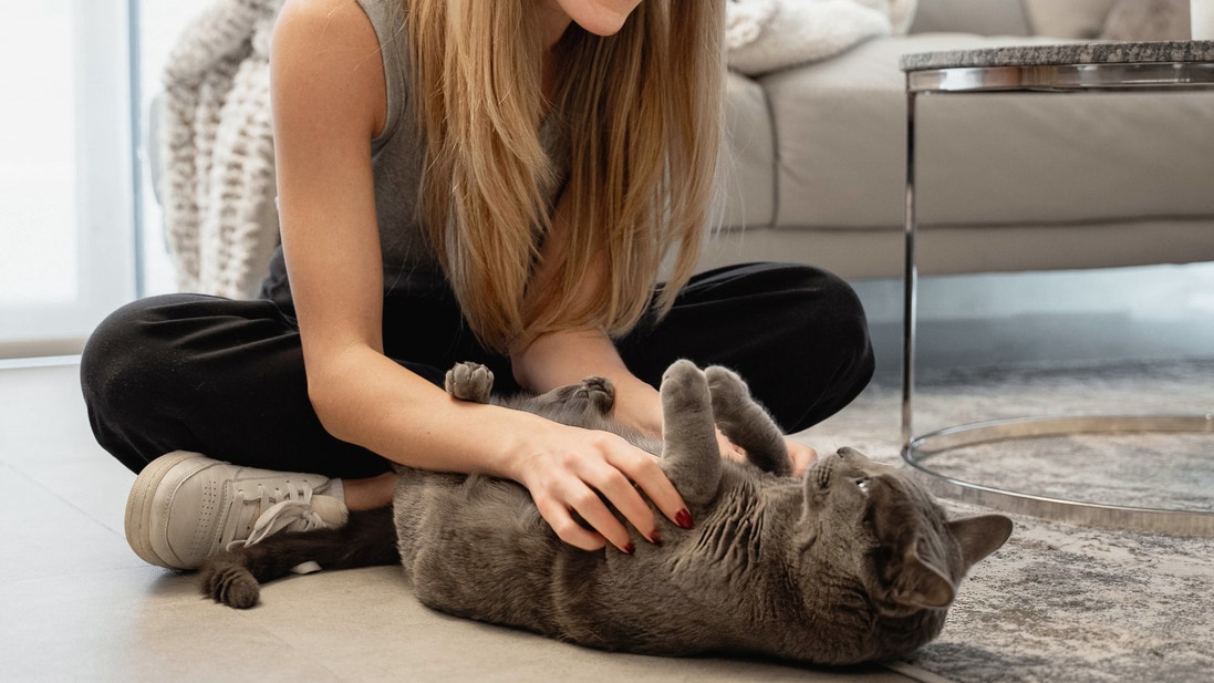 Une femme assise au sol caresse un chat gris allongé sur le dos dans un salon lumineux