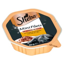 Met kip en lam image