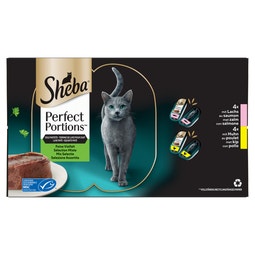 Malse Kalkoen  image