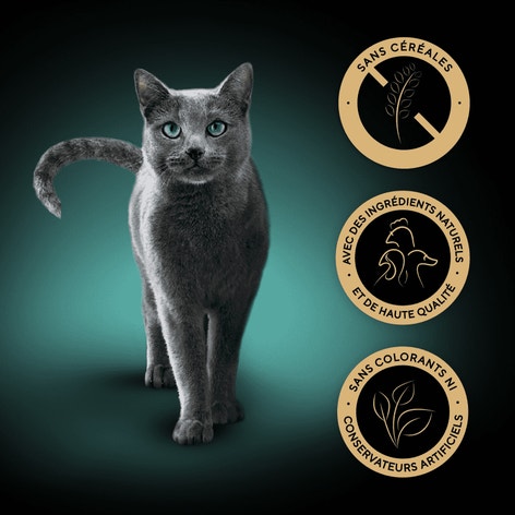 SHEBA® Sachet Collection Nature Sélection de Volaille en Gelée 12x85g image 1