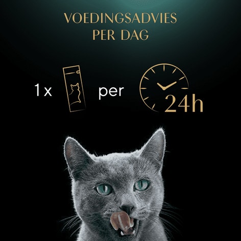 SHEBA® romige kat snacks rundvlees 4 x 12 g image 1