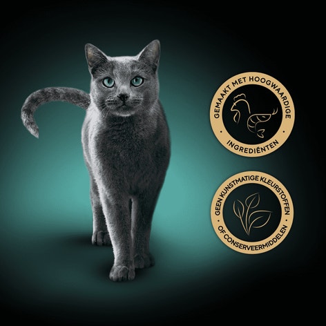 SHEBA® Filets Kip en Garnalen 60g image 1