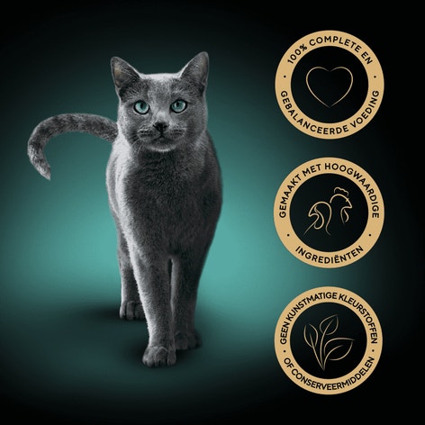 SHEBA® Tray Minifilets Kalf Kalkoen Jus 85g image 1