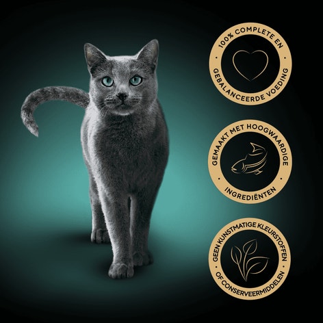 SHEBA® Zakje Minifilets Visjus 4x85g image 1