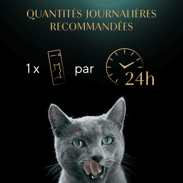 Snacks de chat crémeux SHEBA® Poulet 4 x 12g image 4