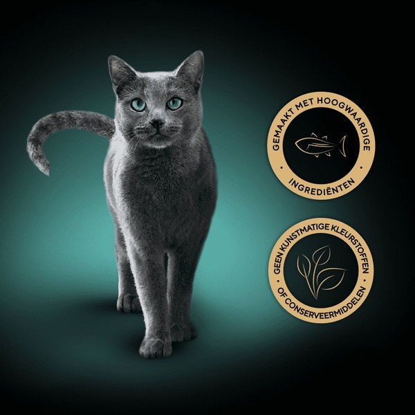 SHEBA® Soup met Tonijn 4x40g image 3