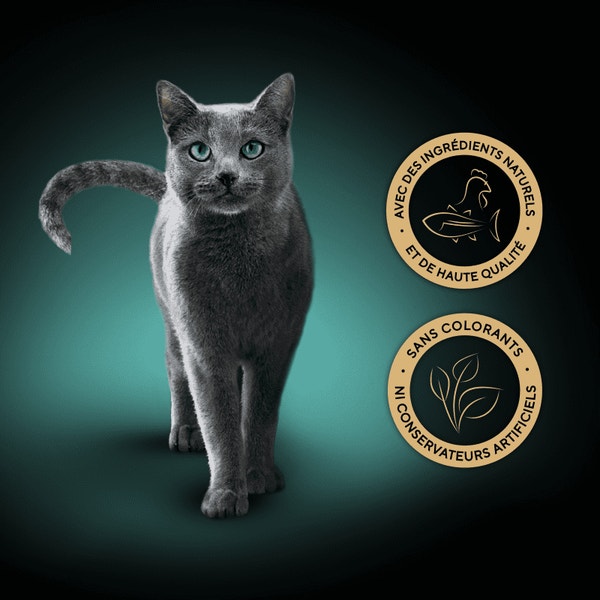 SHEBA® Filets Poulet et Thon 60g image 3