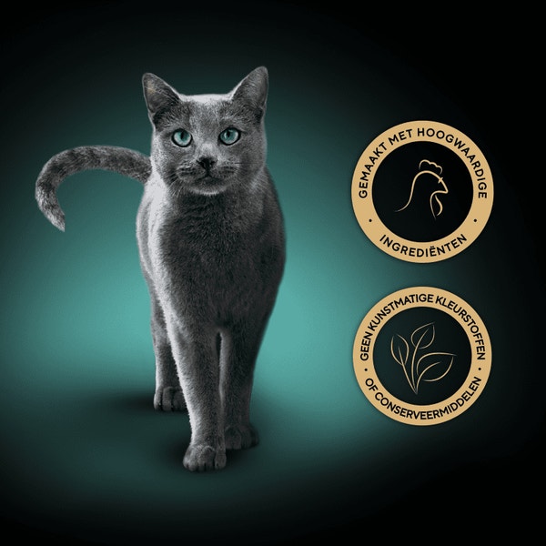 SHEBA® Filets Kip 60g image 3