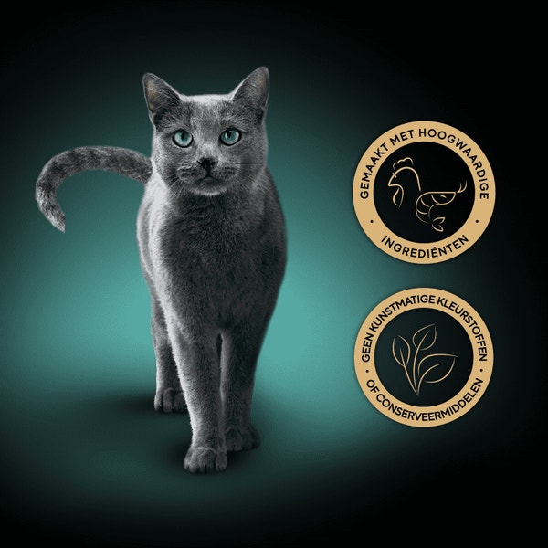 SHEBA® Filets Kip en Garnalen 60g image 3