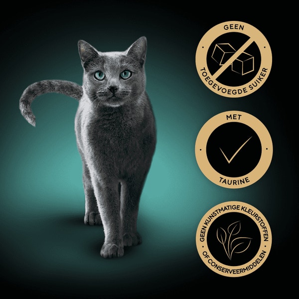 SHEBA® romige kat snacks rundvlees 4 x 12 g image 3