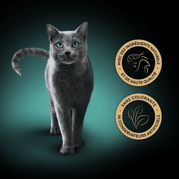 SHEBA® Filets Poulet et Crevettes 60g image 3