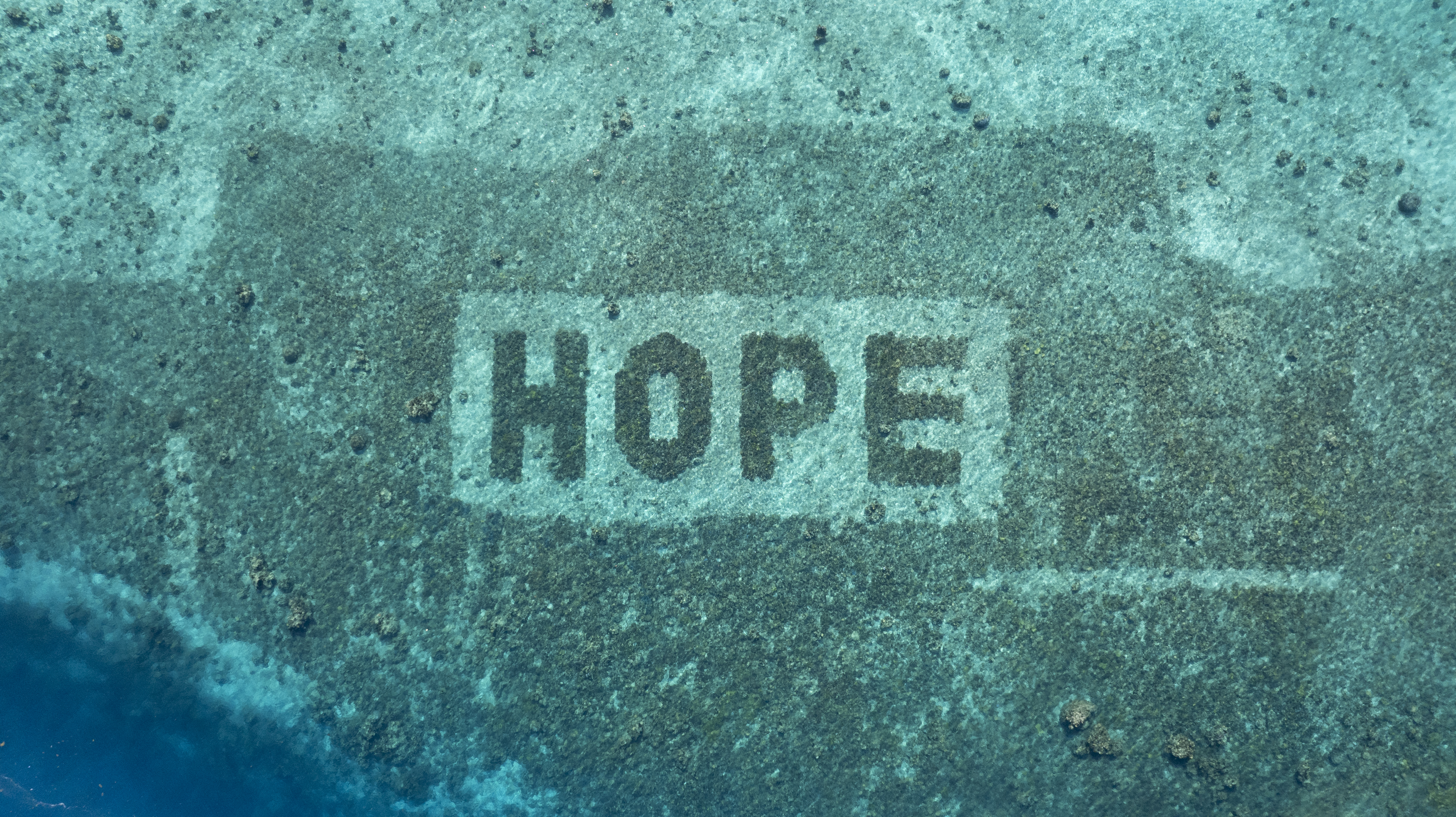 hope