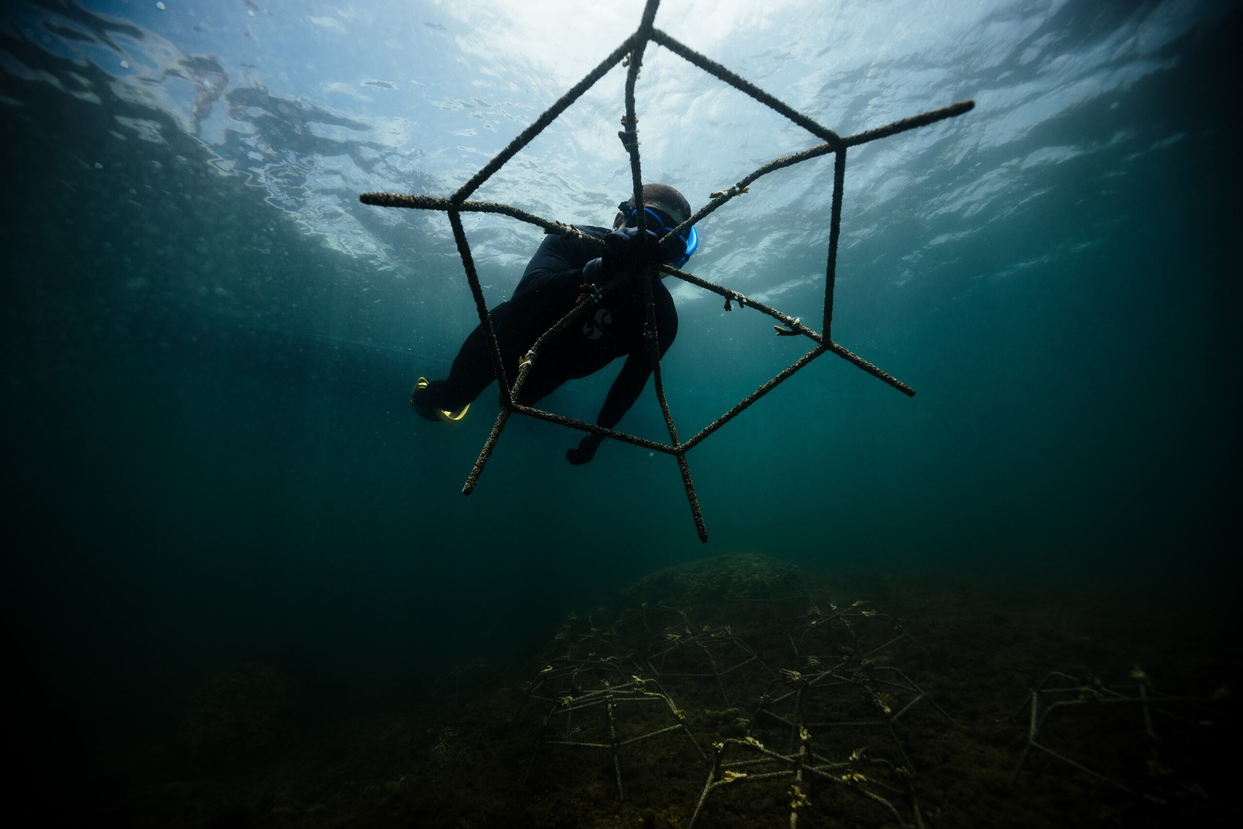 8855696f-318a-4a8c-80b3-03c943eef1e5